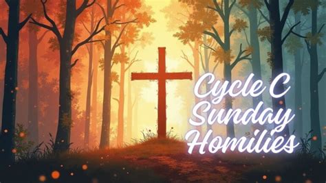 SUNDAY HOMILIES .